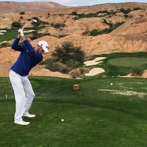 Meet your Posher, Brayton